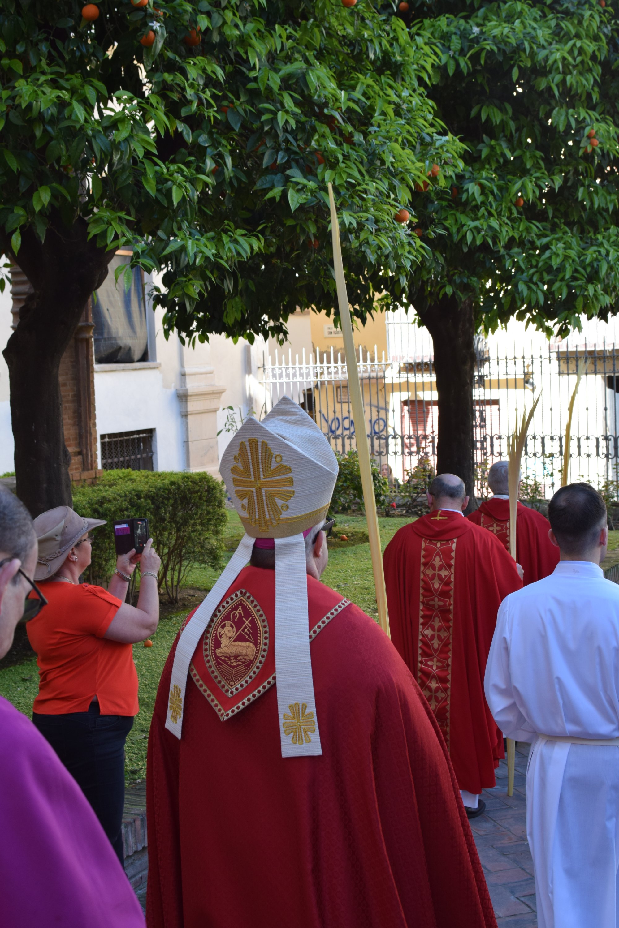 Domingo de Ramos de Mons. Satué