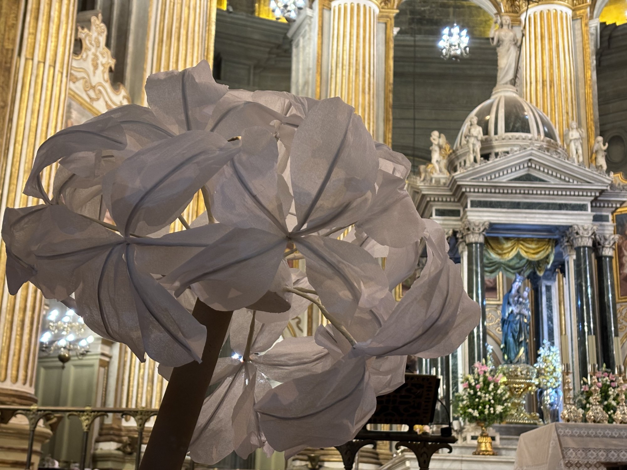 Sigue en directo la clausura y la Misa de envío del Encuentro de Laicos de Parroquia