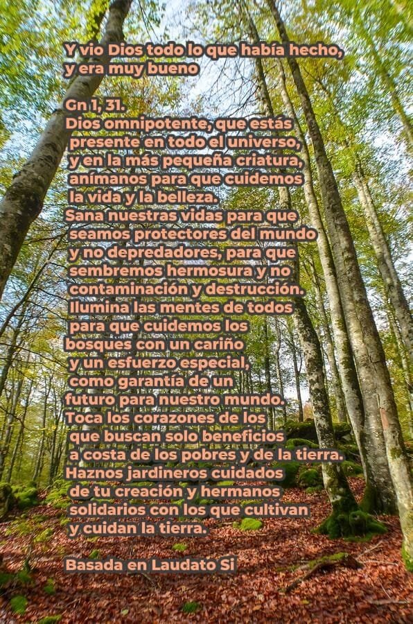El Movimiento Rural Cristiano ante el Día Mundial de Prevención de los Fuegos Forestales