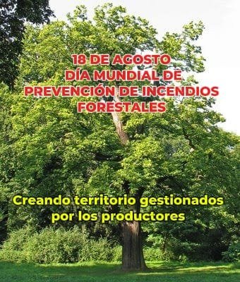 El Movimiento Rural Cristiano ante el Día Mundial de Prevención de los Fuegos Forestales