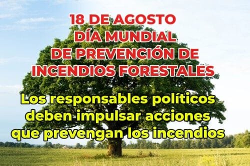El Movimiento Rural Cristiano ante el Día Mundial de Prevención de los Fuegos Forestales