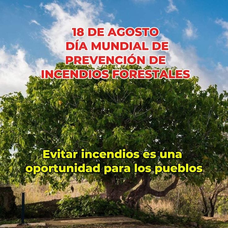 El Movimiento Rural Cristiano ante el Día Mundial de Prevención de los Fuegos Forestales