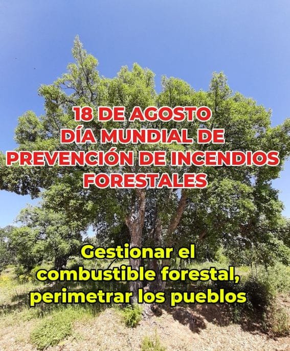 El Movimiento Rural Cristiano ante el Día Mundial de Prevención de los Fuegos Forestales