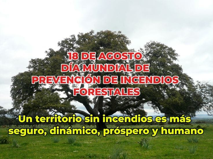 El Movimiento Rural Cristiano ante el Día Mundial de Prevención de los Fuegos Forestales