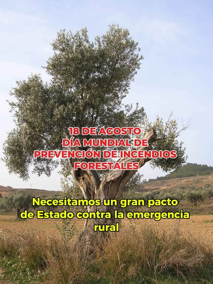 El Movimiento Rural Cristiano ante el Día Mundial de Prevención de los Fuegos Forestales