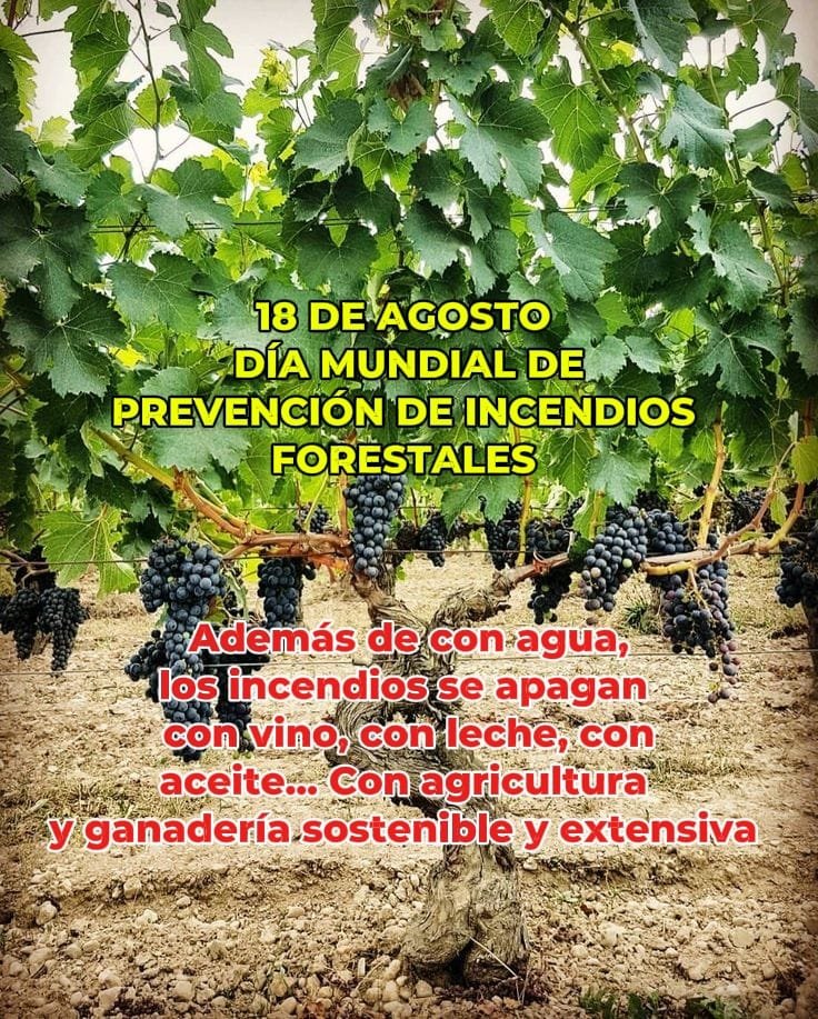 El Movimiento Rural Cristiano ante el Día Mundial de Prevención de los Fuegos Forestales