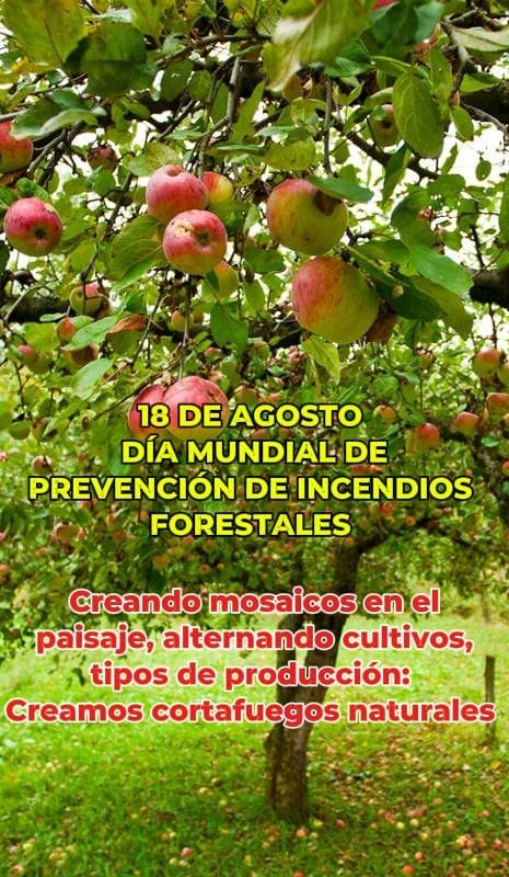 El Movimiento Rural Cristiano ante el Día Mundial de Prevención de los Fuegos Forestales