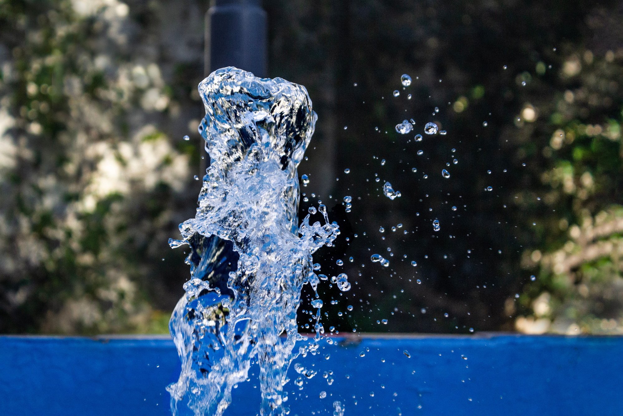 Septiembre, Tiempo de la Creación que invita a mirar hacia el Agua Viva