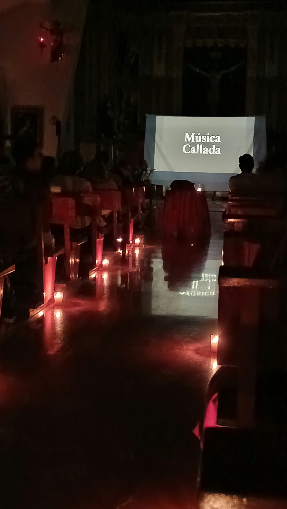 Concierto de Música Callada