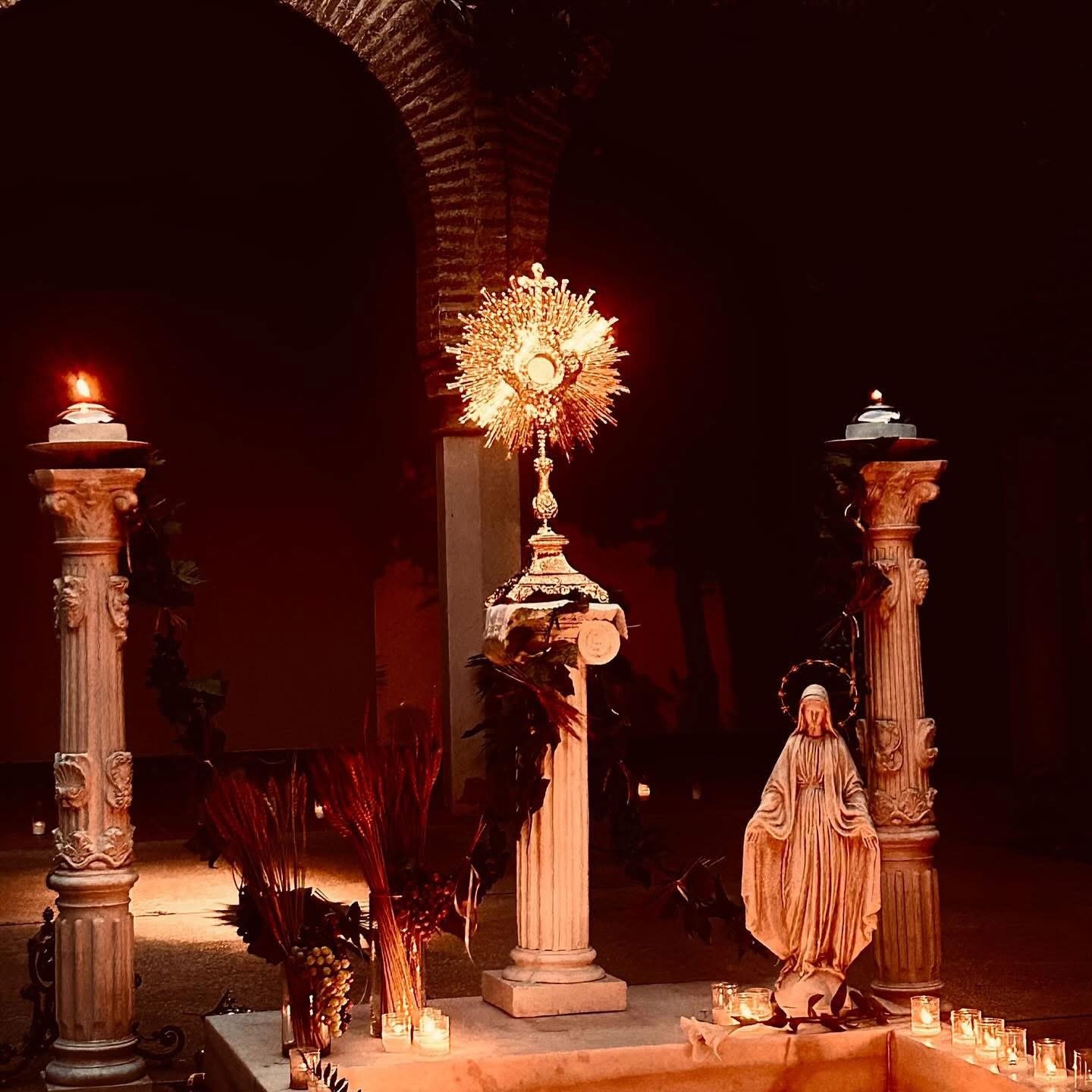 Hora Santa "Laudato", «una invitación a dejar que Dios nos limpie la mirada»