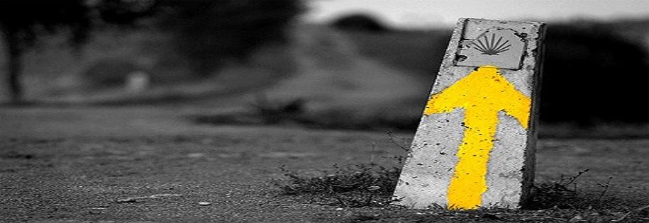 El Espejo peregrina a Santiago