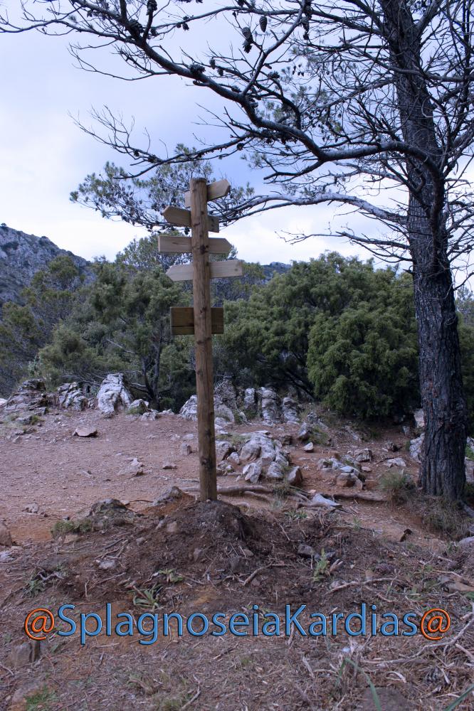 «Si te cabe el cielo en un abrazo»
