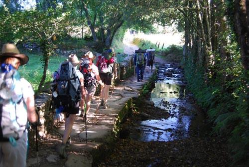 Seis plazas libres para el Camino de Santiago