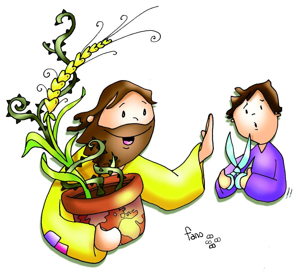 Lectio Divina con el Evangelio del domingo 16º del Tiempo Ordinario (Ciclo A)