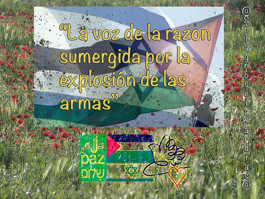 ¿Dónde está la razón?