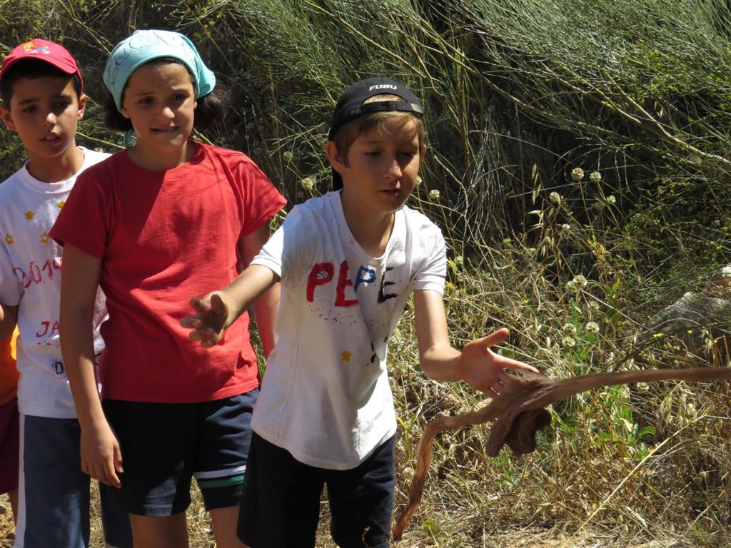 El deporte, siempre presente