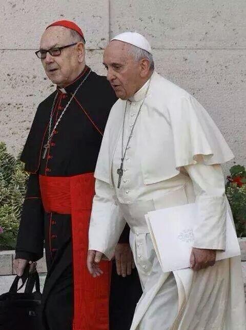 Mons. Fernando Sebastián participa en el Sínodo