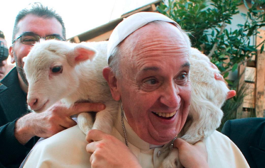 ¿Hacia dónde lleva el Papa a la Iglesia?