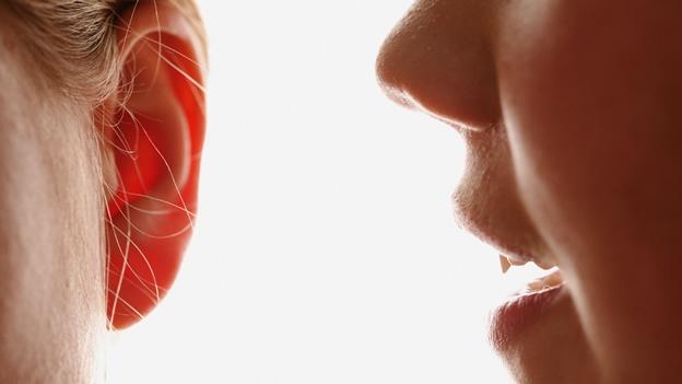 La palabra terapéutica