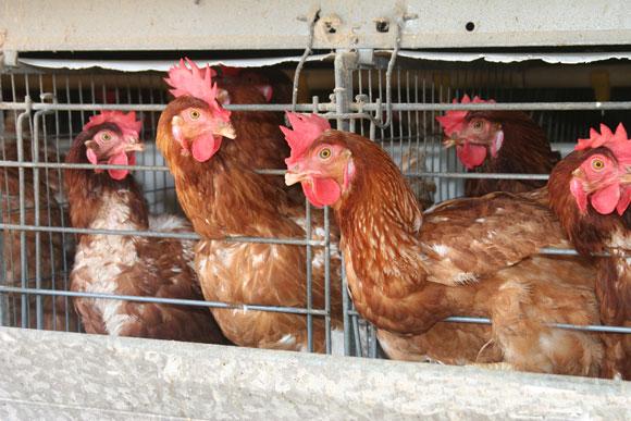 ¡Es que usted es hombre!