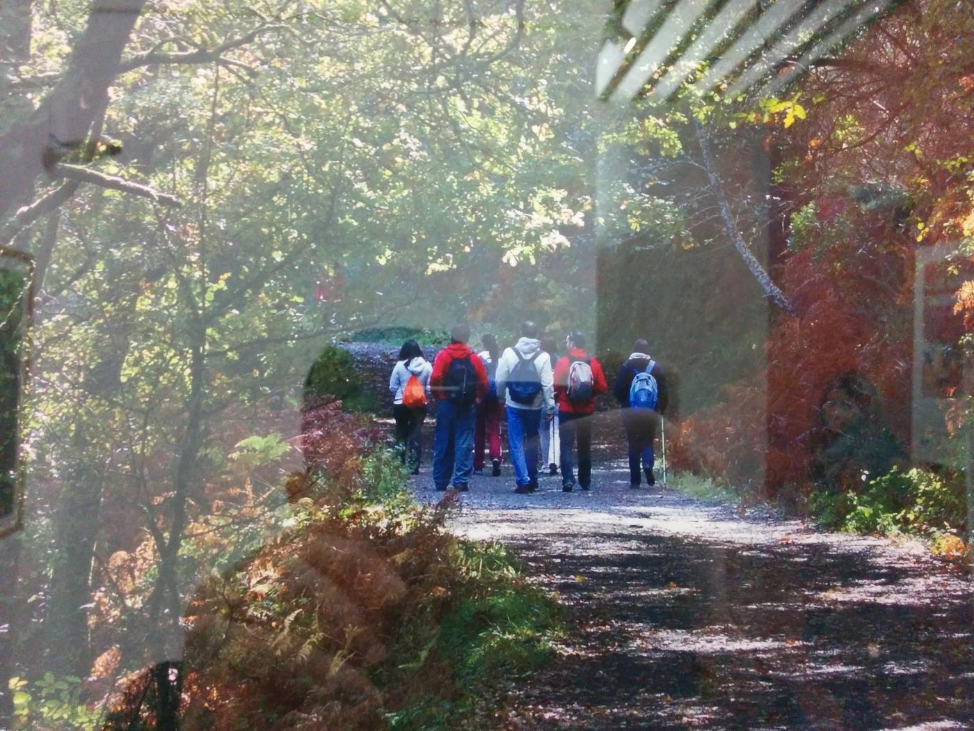 Exposición Vía Iacobotana