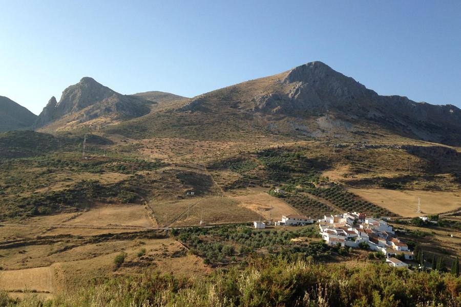 Segundo vídeo del Papa: cuidemos de la creación