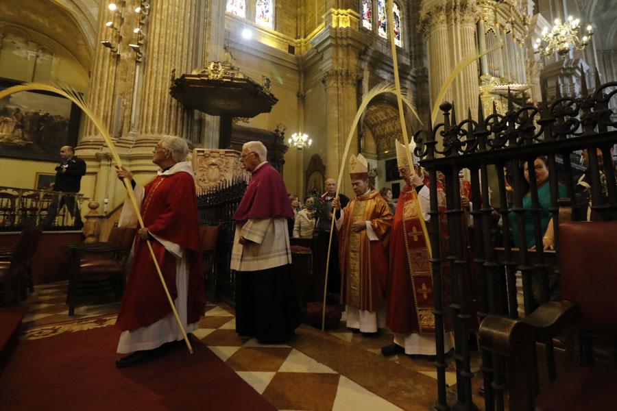 GALERÍA. Domingo de Ramos en la Catedral