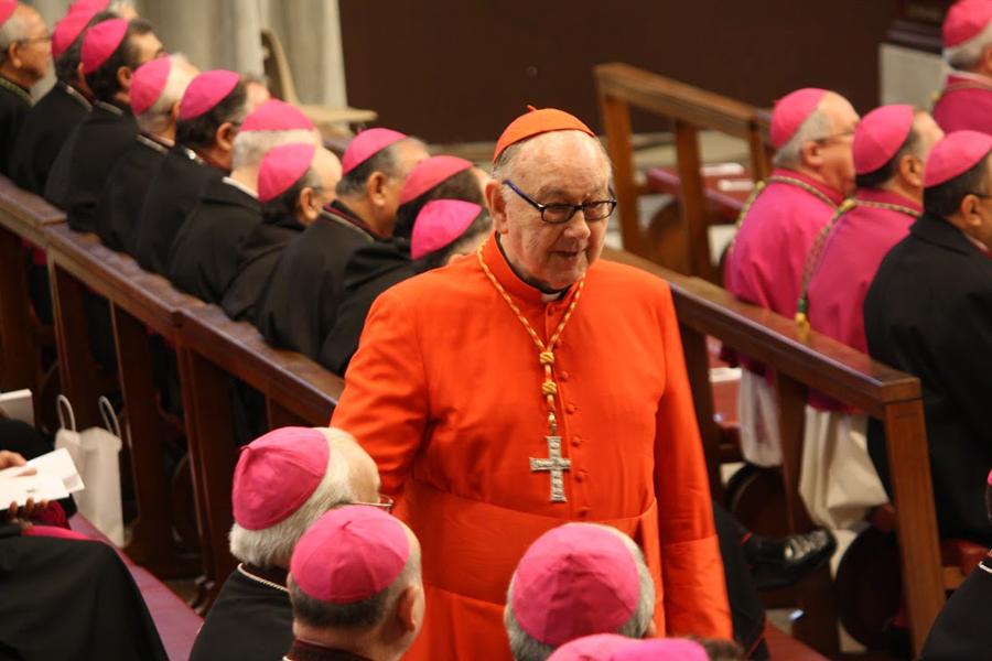 El Cardenal Fernando Sebastián