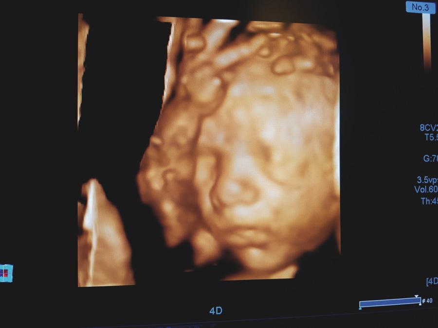 Red Madre: ojos que ven, corazón que siente