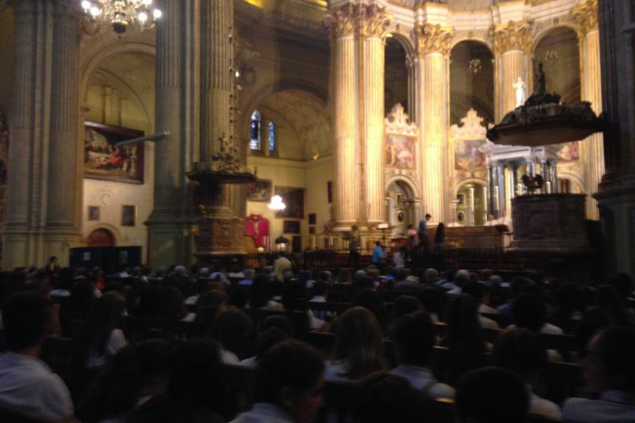 La Familia Vicenciana entra por la Puerta Santa de la catedral en el Año de la Misericordia