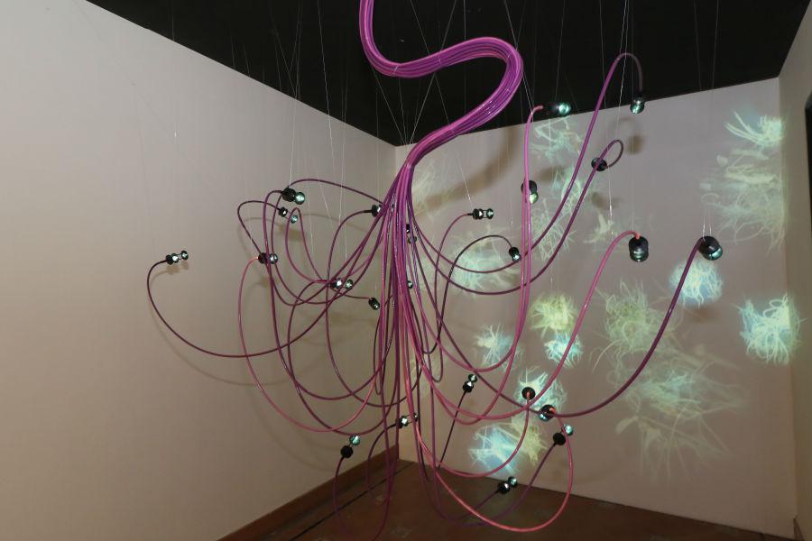 Obras de la Colección de la Fundación Coca-Cola en el Palacio Episcopal. FOTO: S. FENOSA