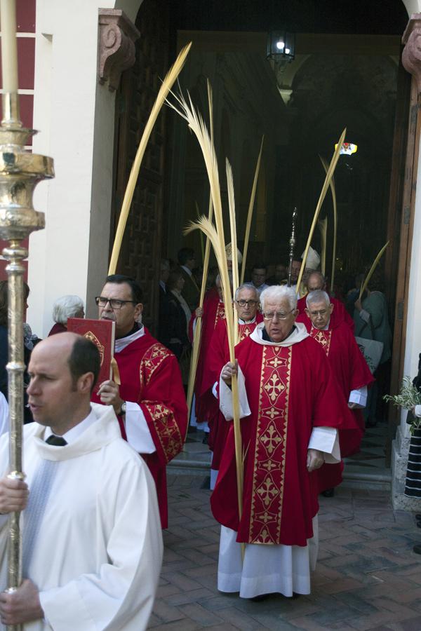 Procesión del Domingo de Ramos 2017 desde San Agustín a la Catedral. FOTO: M. ZAMORA