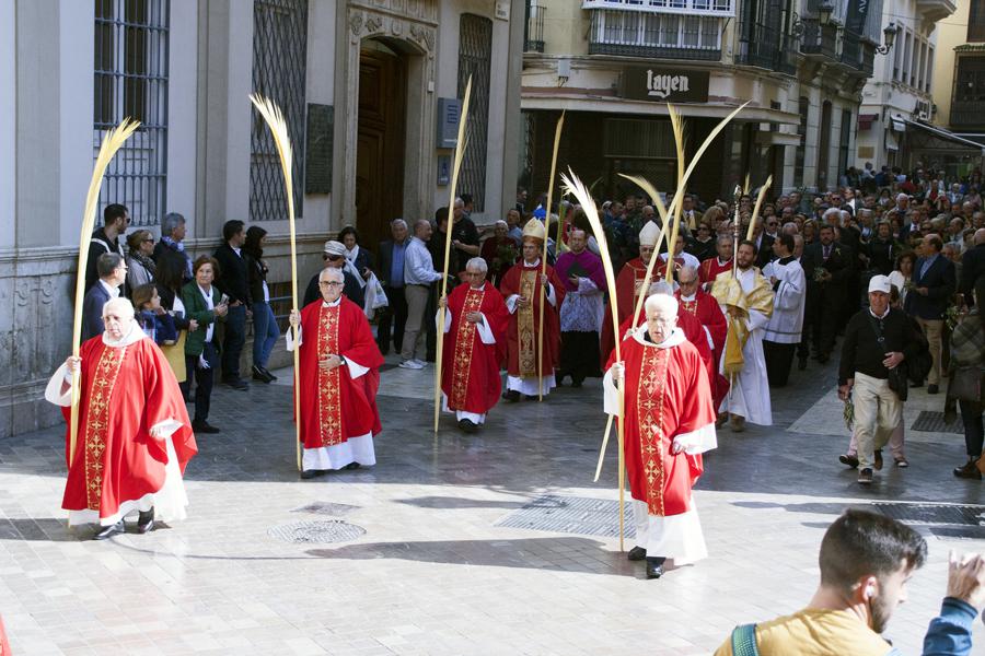 Procesión del Domingo de Ramos 2017 desde San Agustín a la Catedral. FOTO: M. ZAMORA
