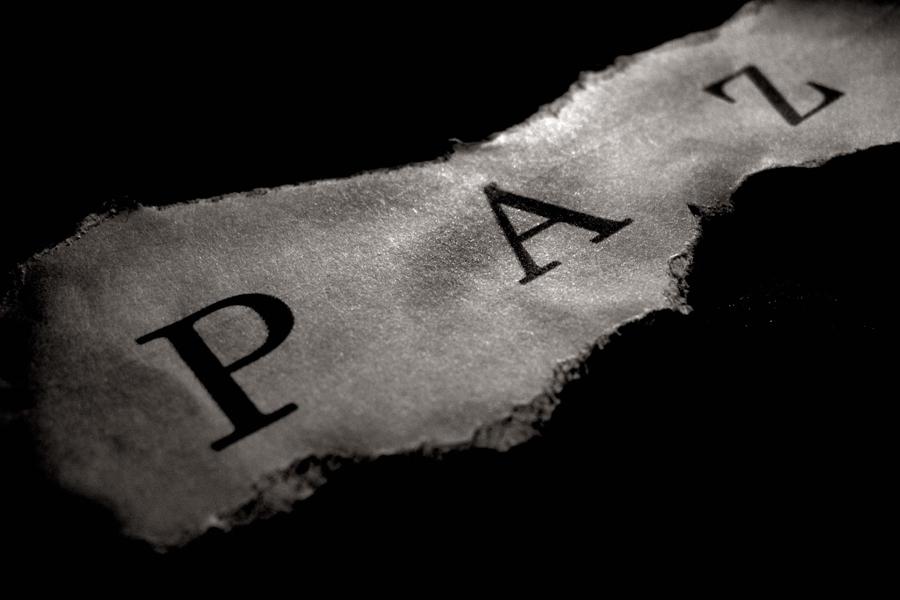 «Felices los que trabajan por la paz»