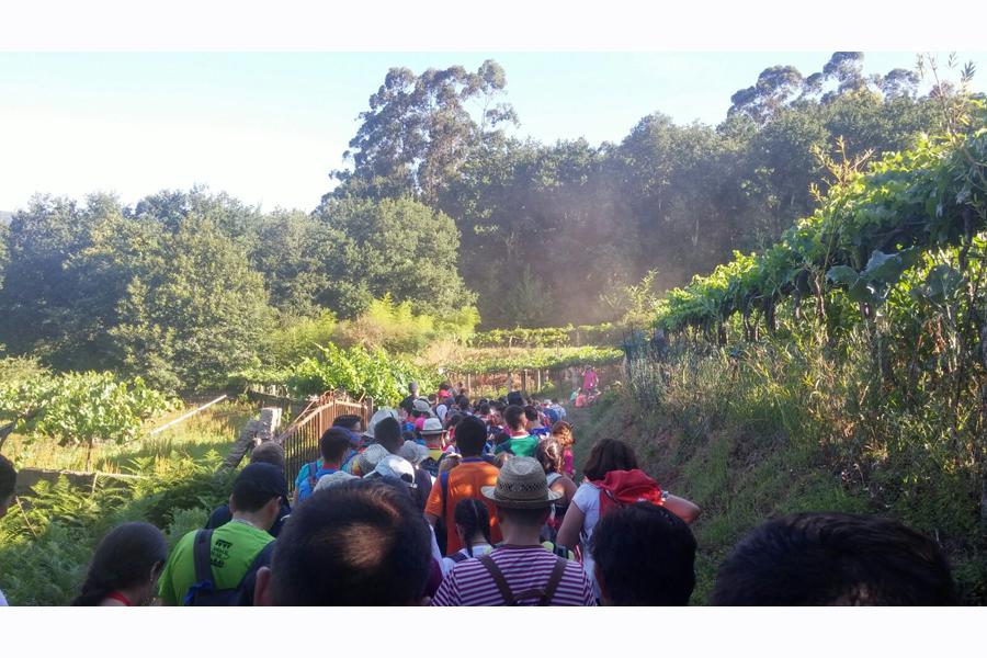 Camino de Santiago, primera etapa: Tui-Vigo