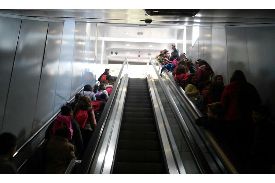 Encuentro de Navidad de los Grupos de Crecimiento en la fe de Álora, Santa Rosalía-Maqueda y San Pedro de Alcántara