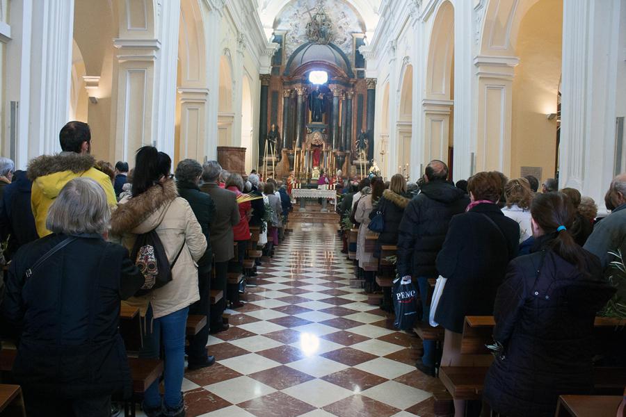 Domingo de Ramos en la Pasión del Señor // M. ZAMORA