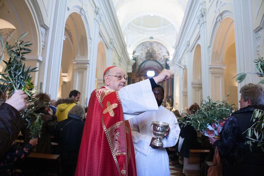 Domingo de Ramos en la Pasión del Señor // M. ZAMORA