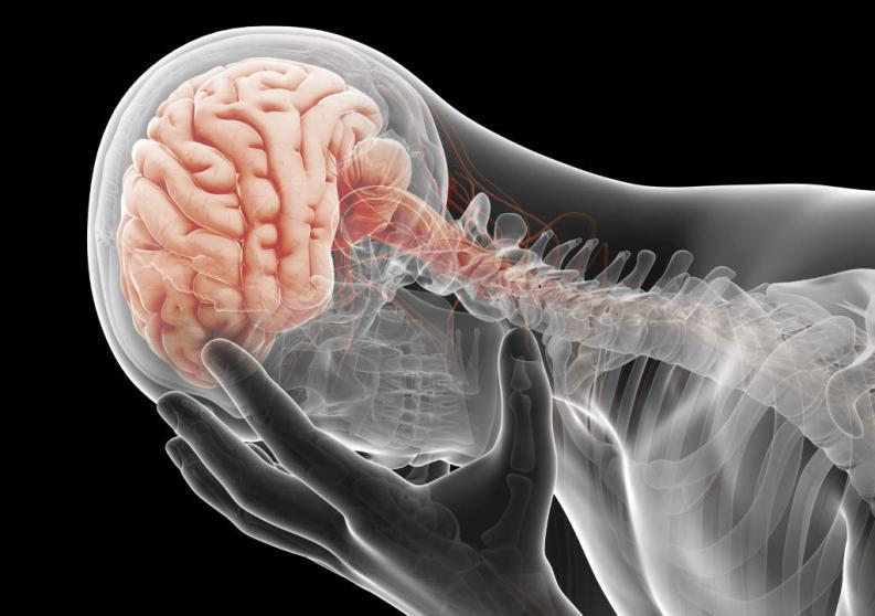 Los silencios de la droga (2)