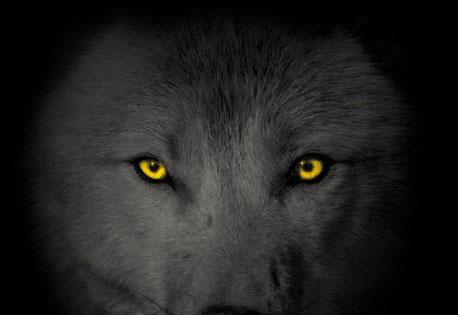 Los libros de tu verano: "La llegada de un Dios salvaje"