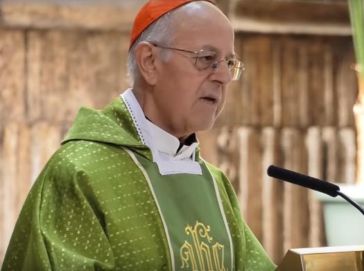 Valladolid da gracias a Dios por el beato Tiburcio Arnaiz SJ