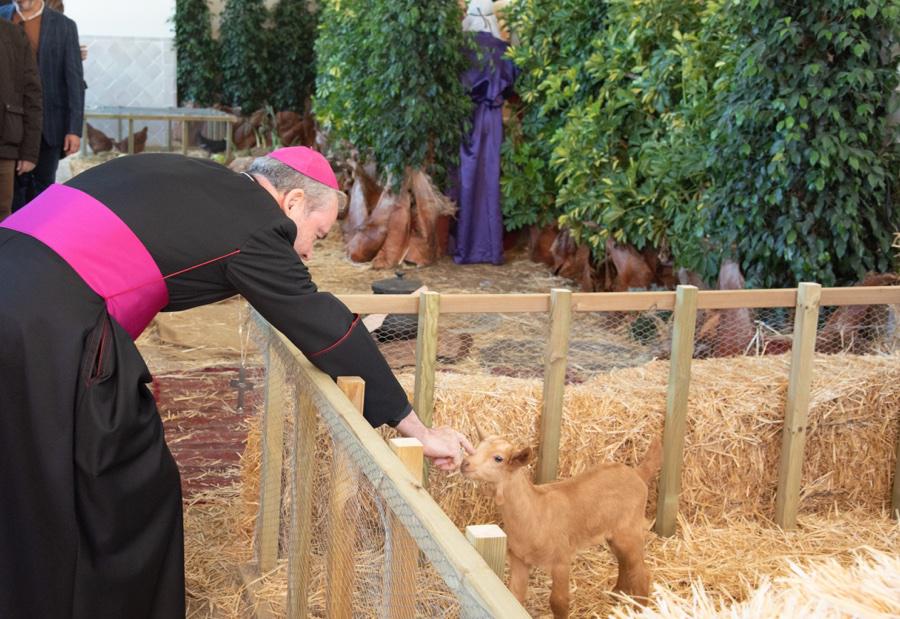 Belén Diocesano en el Adviento de 2018 // I. GRIÑÁN