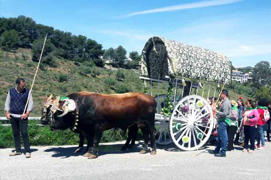 Celebración del día de San José en Chilches