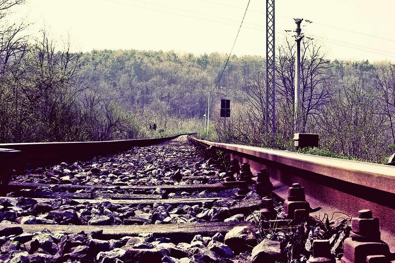 Eutanasia: «Abordar el sufrimiento eliminando a la persona es un fracaso»