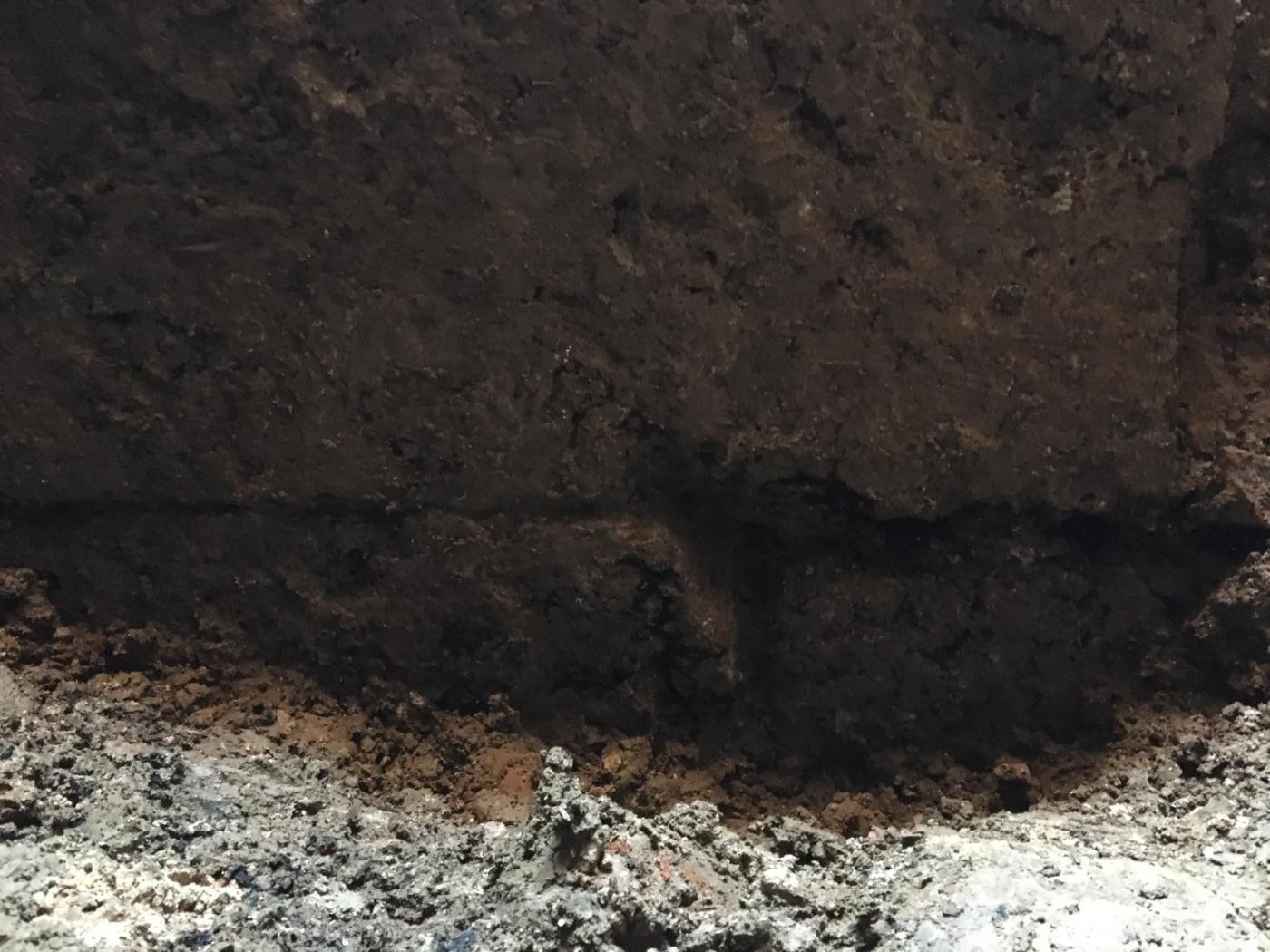 Este es el nivel más bajo al que se ha podido excavar. Los arqueólogos apuntan a que hay "algo llamativo debajo"