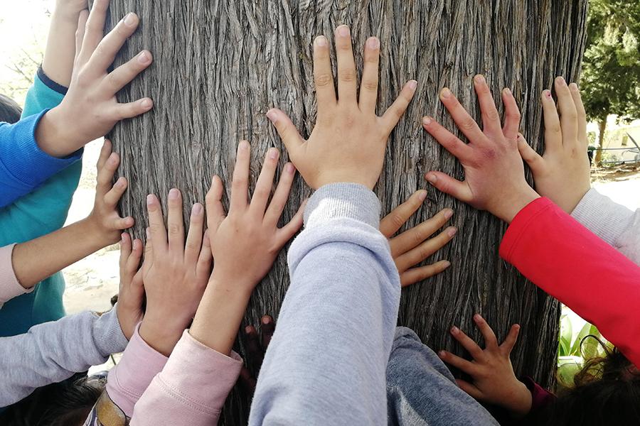 Escuela Rural Los Gámez // D. GARCÍA