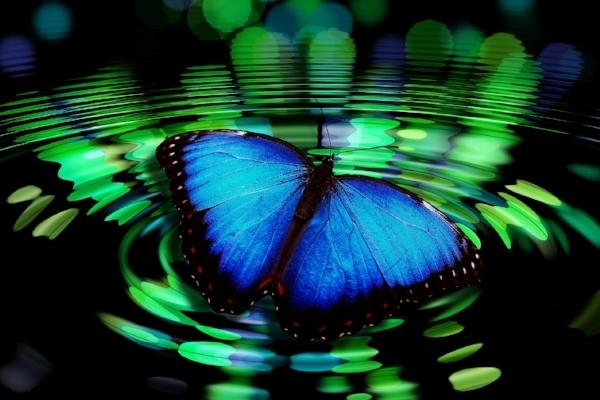 De creencias a certezas por el doctor Rosado