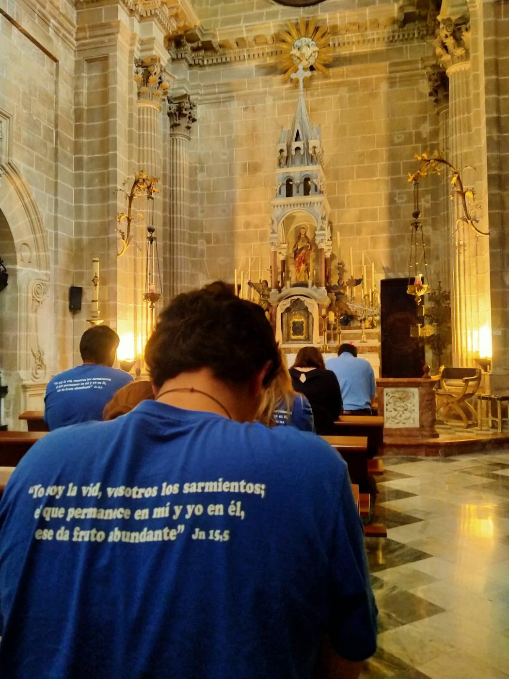 Universitarios malagueños participan en el XI UDISUR