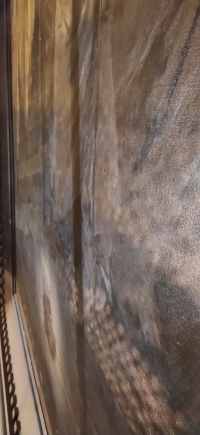 Detalle del estado de la pintura