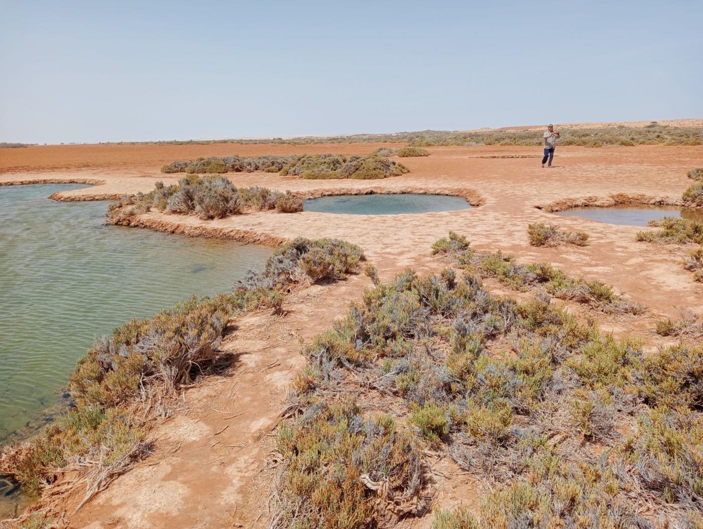 Día 10. Un oasis en mitad del desierto